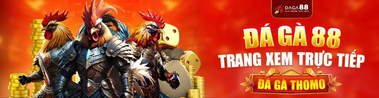 Cá cược thể thao JN88 Win
